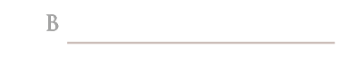 Logotipo Brusaterra